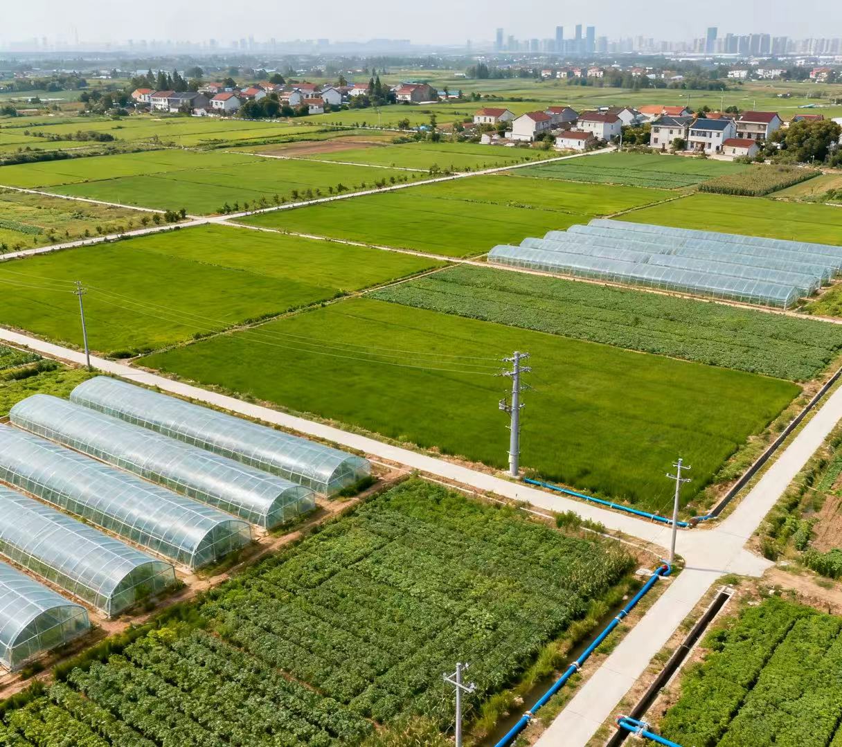 土地整治規(guī)劃